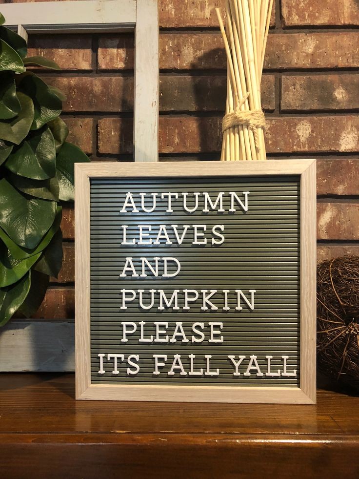 autumn-leaves-and-pumpkin-please