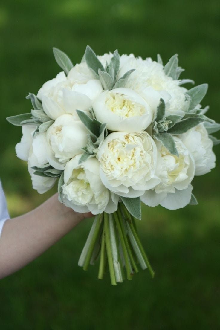 Rosemary-and-White-Peony-Blend.-as-37-Beautiful-Flower-Arrangements-for-the-Perfect-Mothers-Day-Gift.