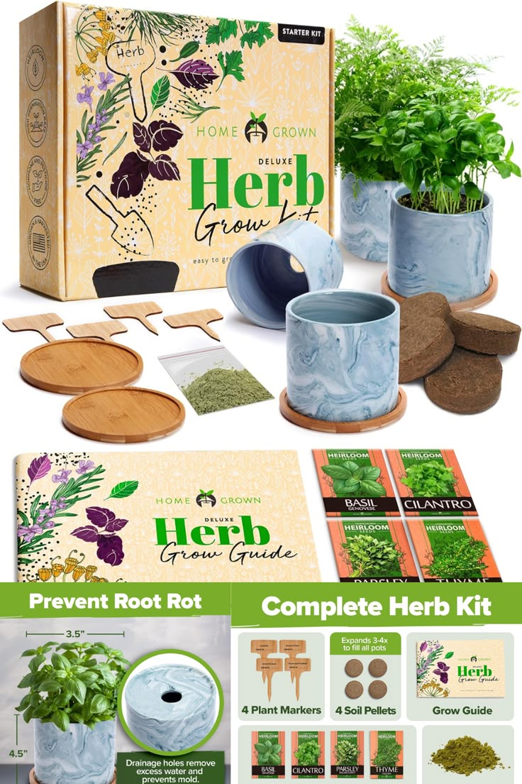 Herb-Garden-Kit.-as-35-UNIQUE-MOTHERS-DAY-GIFTS-THAT-ARENT-FLOWERS-OR-CHOCOLATE