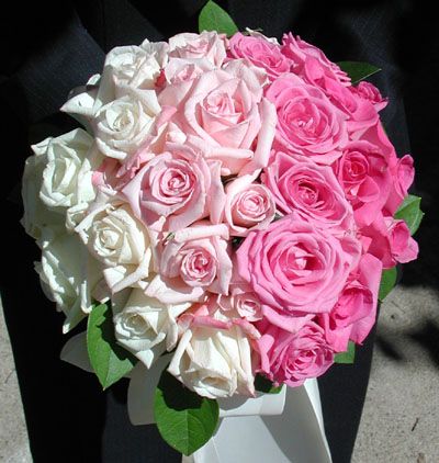 Pink-and-White-Ombre-Roses