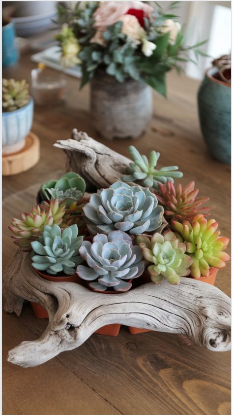 Succulent-Garden-Centerpiece