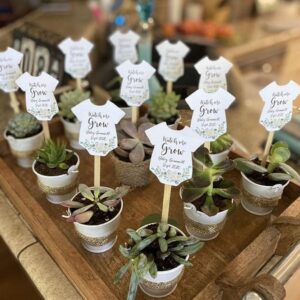 this is a Potted Plants as Favors for a baby shower