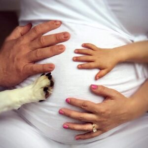 this is a Is the Baby In There game