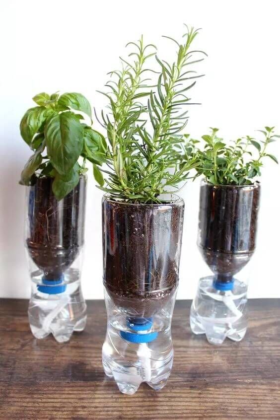 Bottle Planters