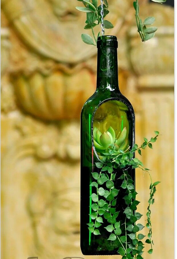 Hanging Bottle Terrariums