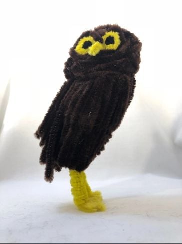 Pipe Cleaner Owls