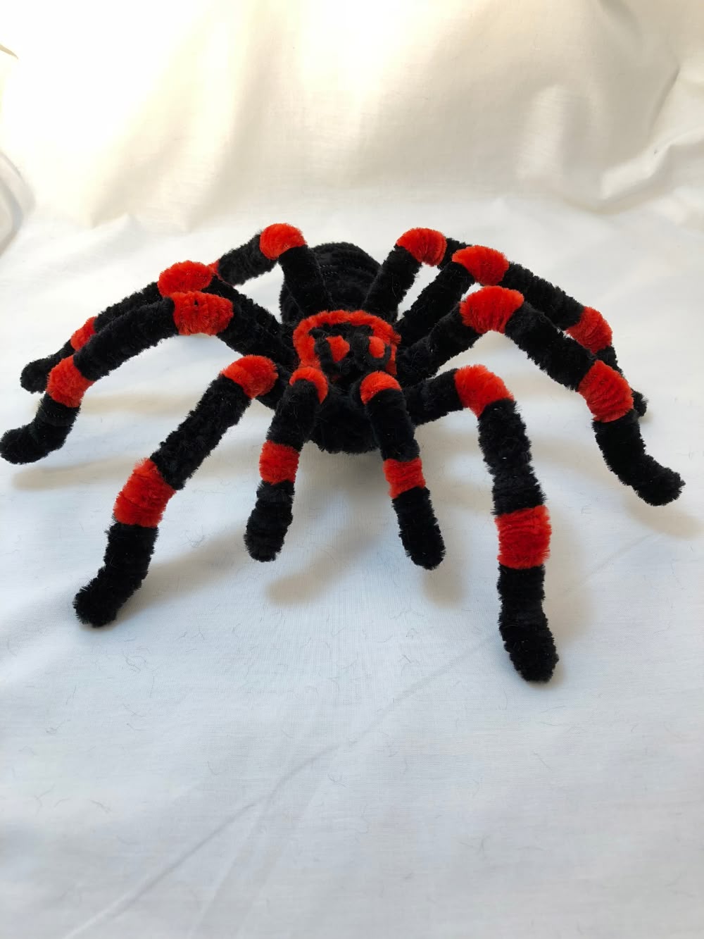 Pipe Cleaner Spider Craft