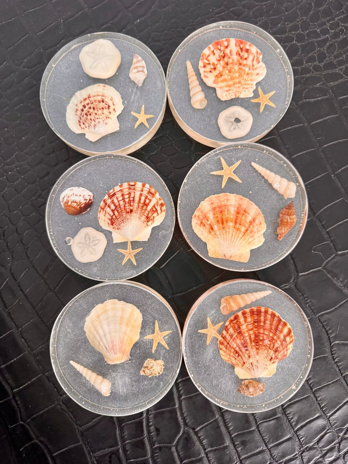 Seashell Coasters