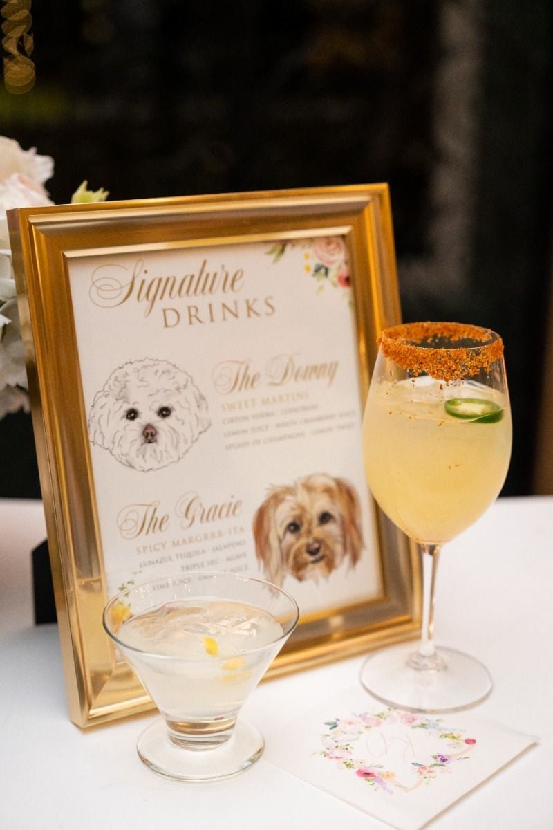 Dog-Friendly Drinks