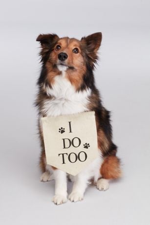 Doggy &ldquo;I Do&rdquo; Sign