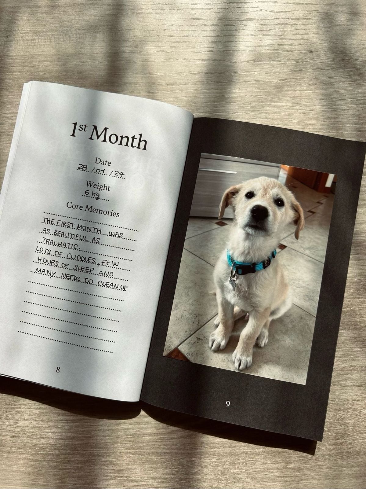 Doggy Photo Guest Book
