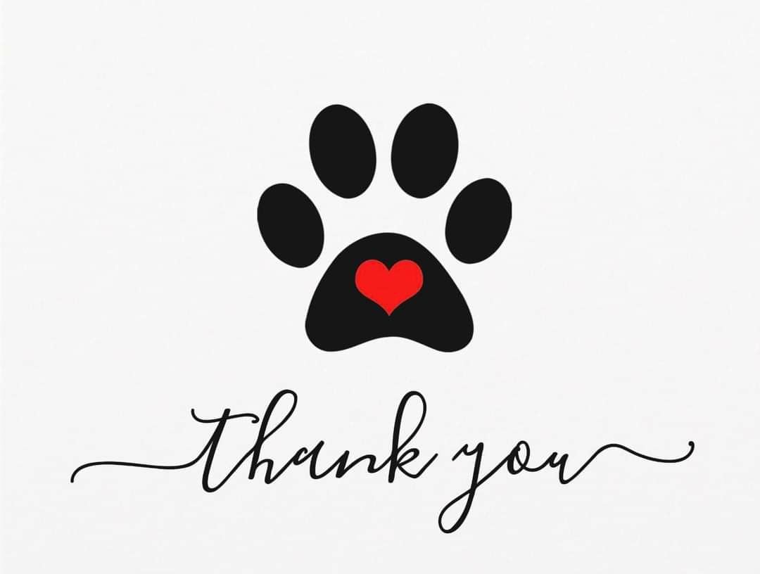 Doggy Thank You Cards