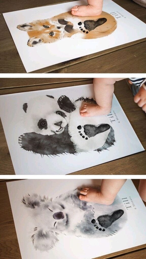 Add Animal Footprint Details