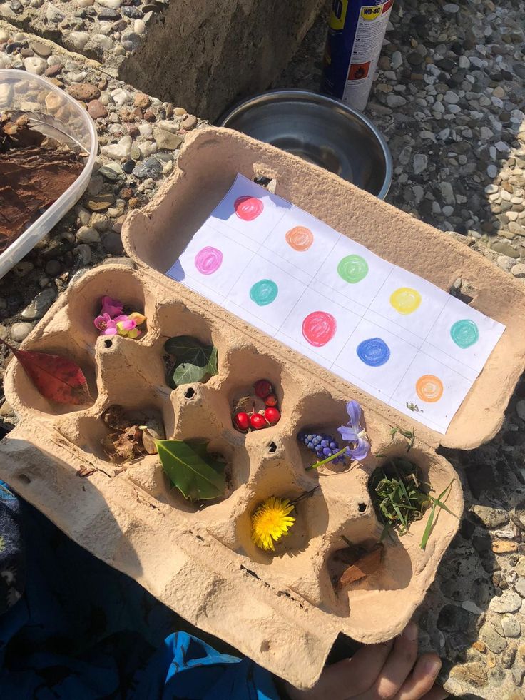 Backyard Nature Scavenger Hunt