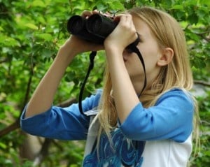 Bird Watching and Identification