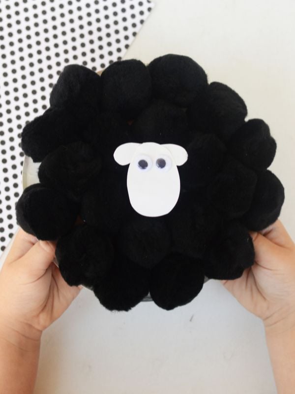Black Sheep Special Craft