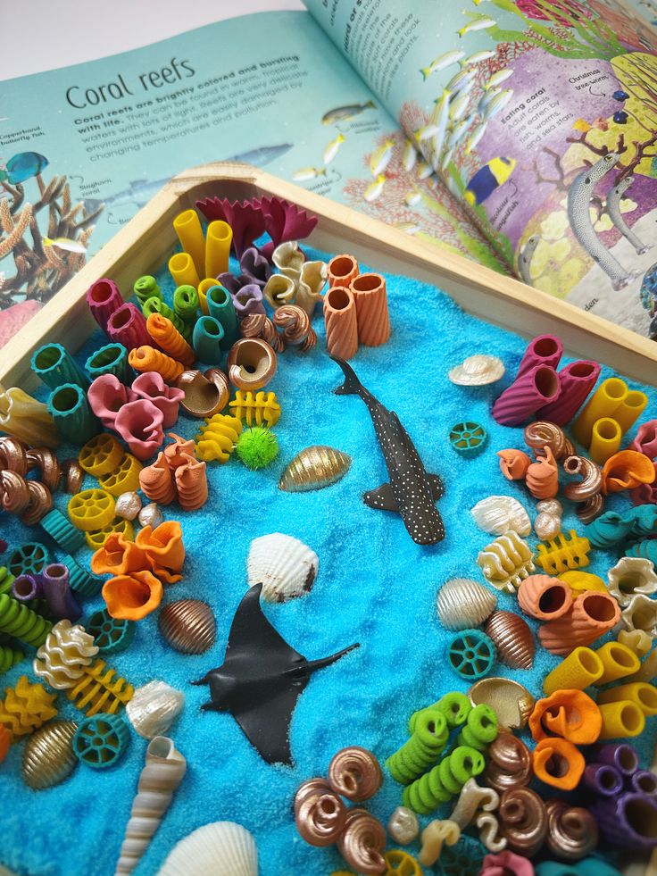  Build a Sensory Exploration Bin