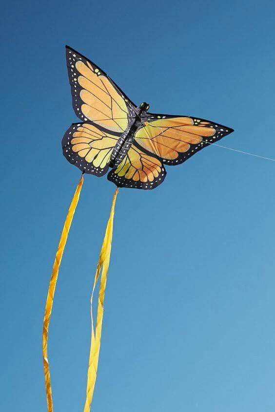 Butterfly Kite