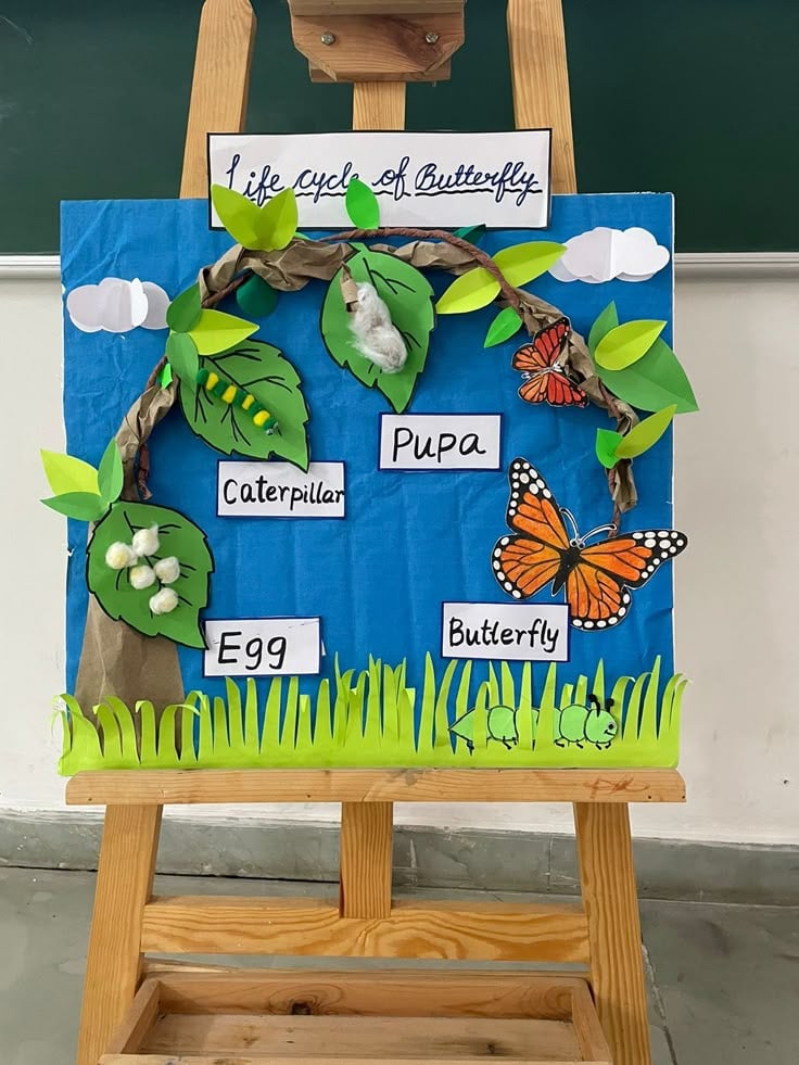 Butterfly Life Cycle Craft
