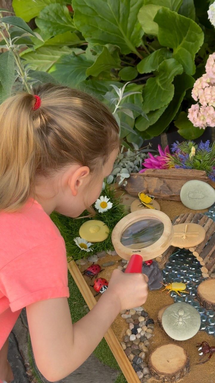 Butterfly and Bee Count