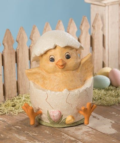 Chick Hatching Scene