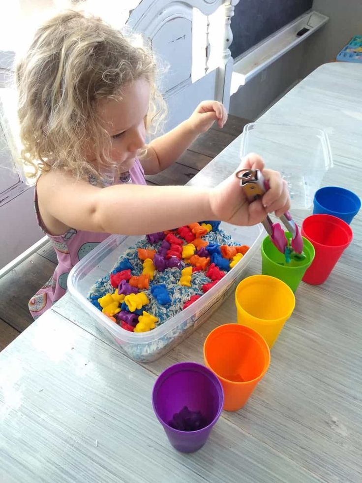 Practice Sorting and Categorizing