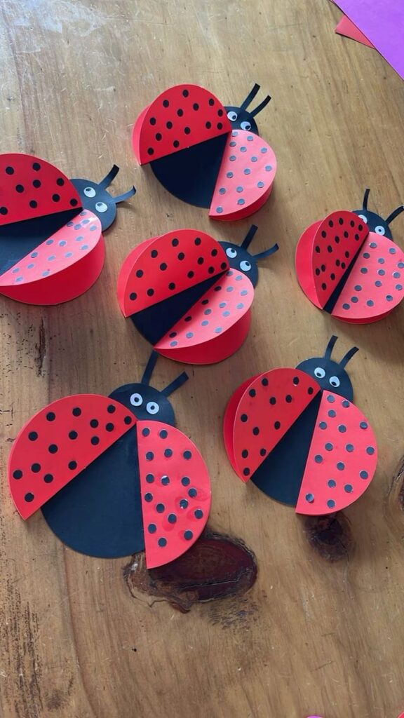  Construction Paper Ladybug
