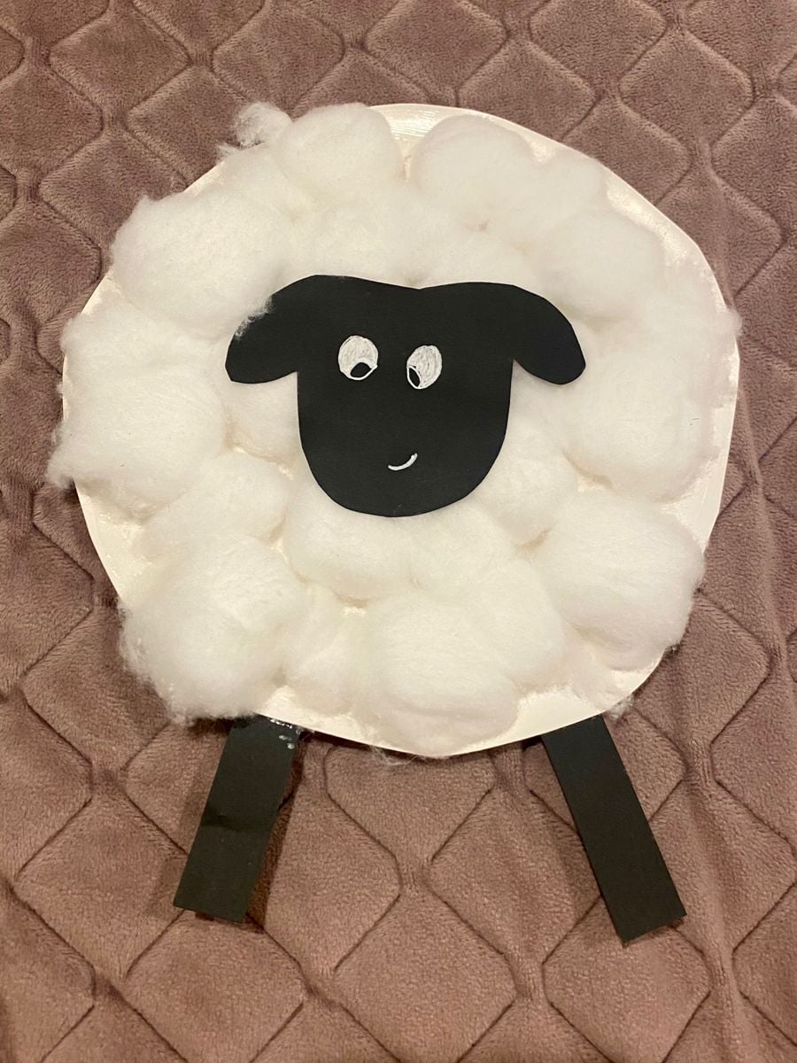 Cotton Wool Paper Plate Sheep