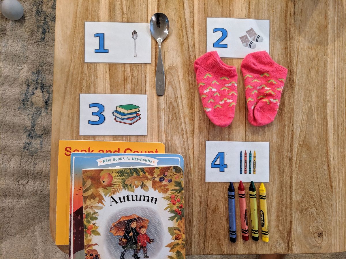 Counting With Real Objects
