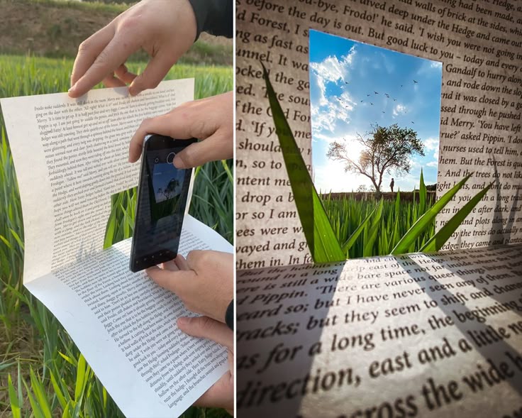 Creative Photography Challenge