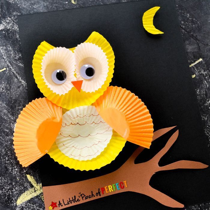 Cupcake Liner Owl