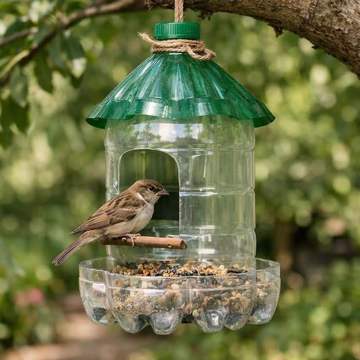  DIY Bird Watching Station
