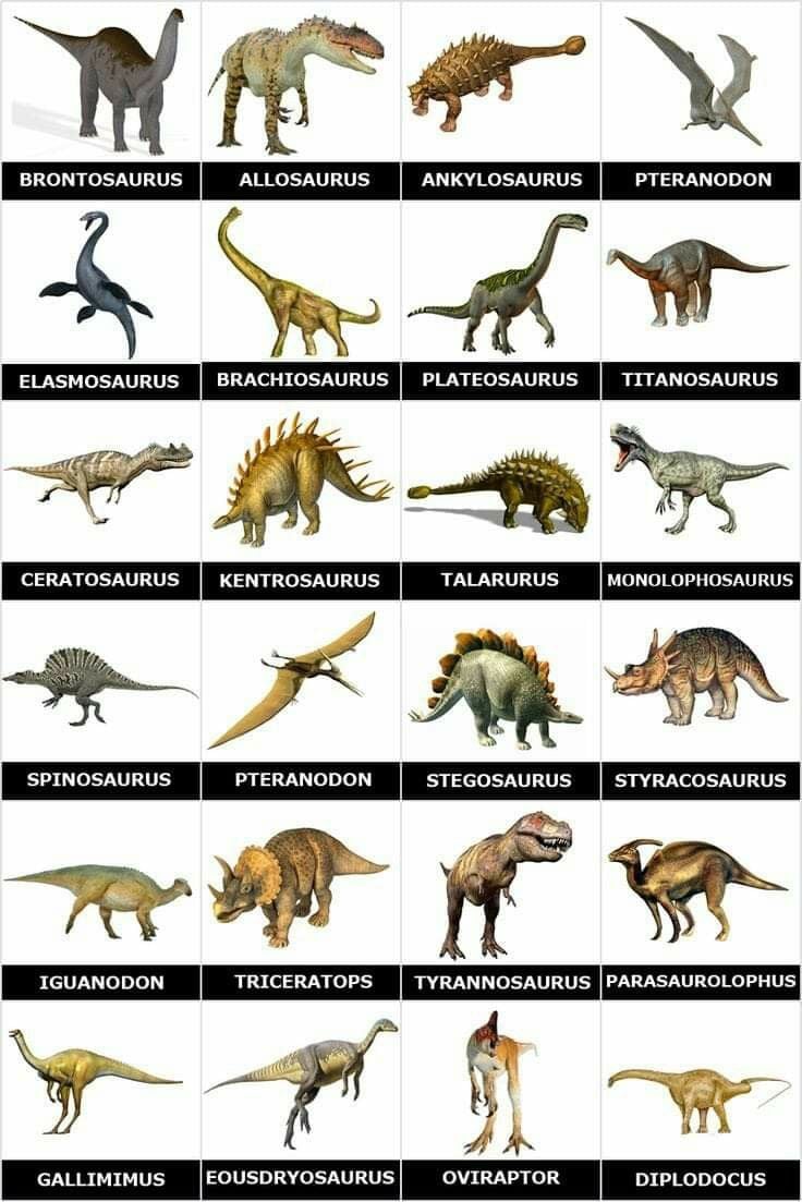 Dinosaur Size Comparison Chart
