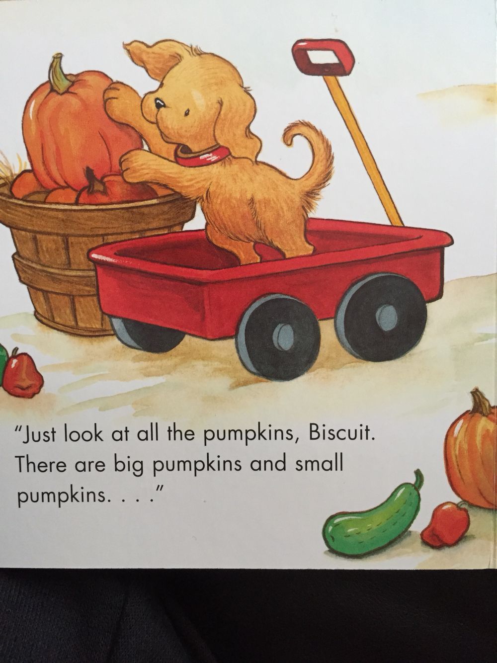 Dog Themed Storybook