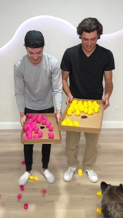 Egg Drop Challenge