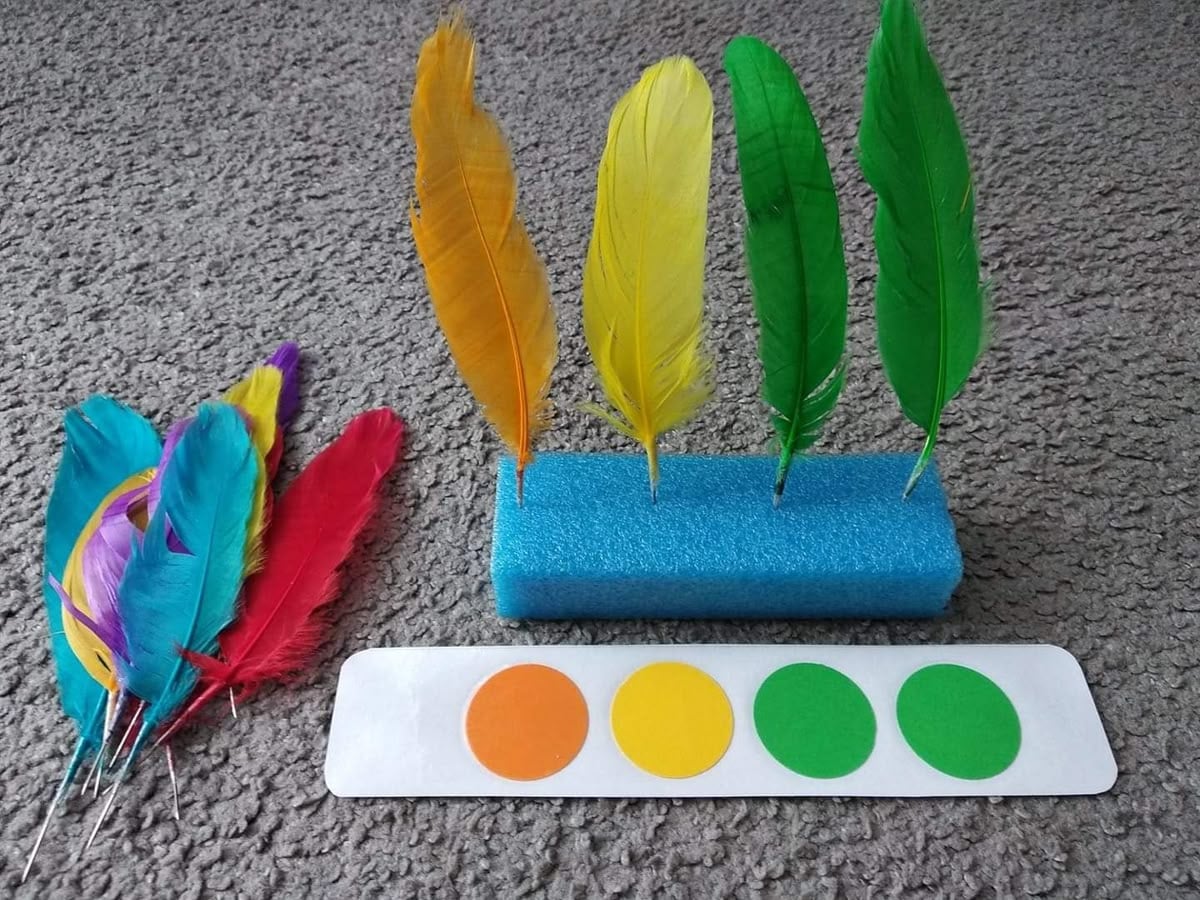 Feather Sorting and Art