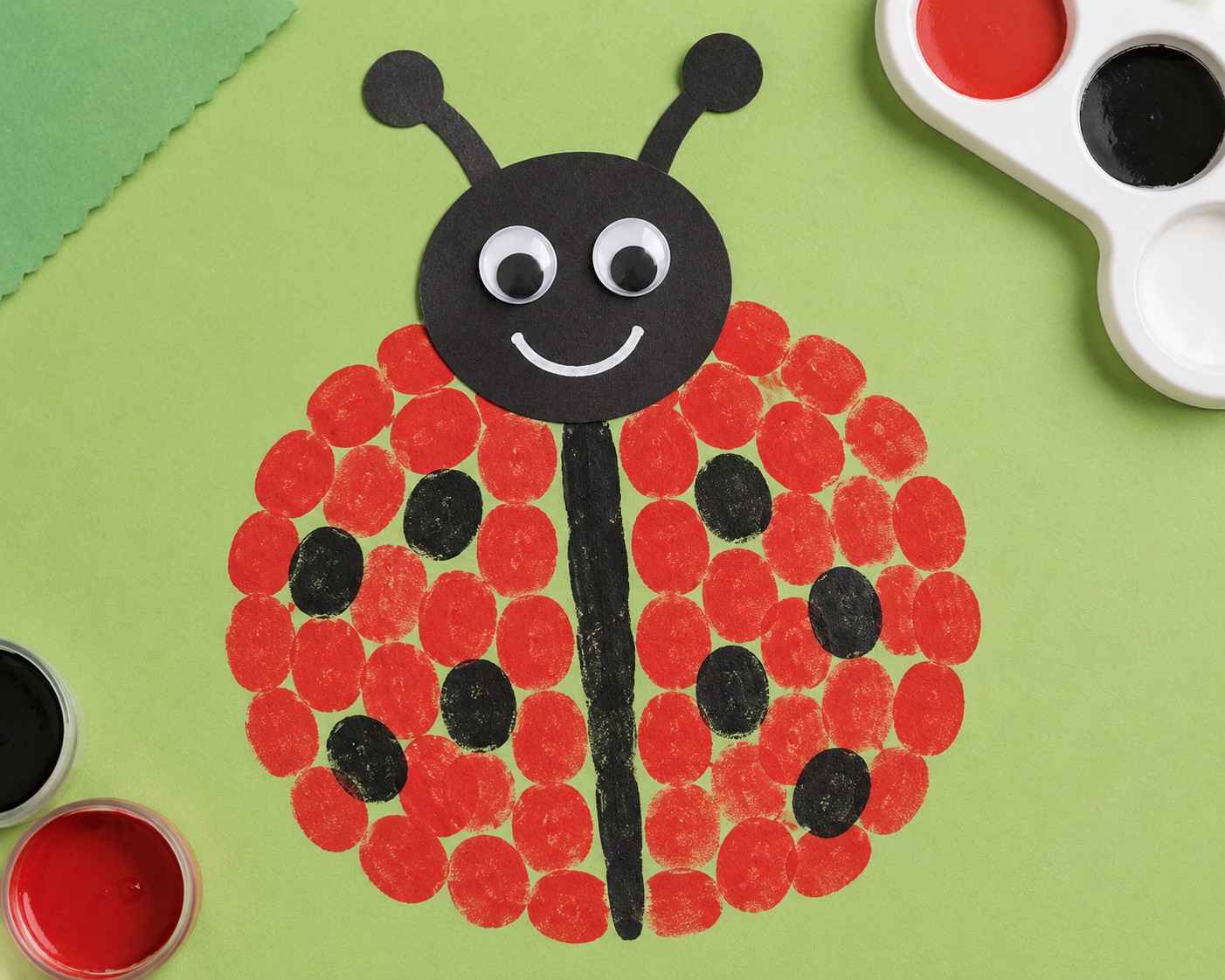 Fingerprint Ladybug