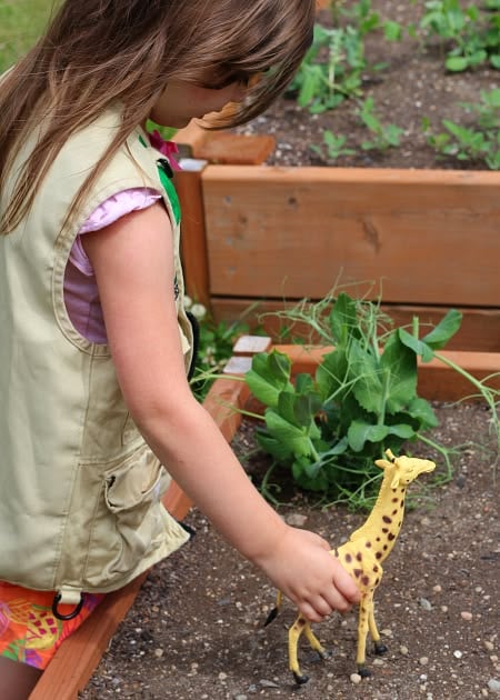 Garden Safari