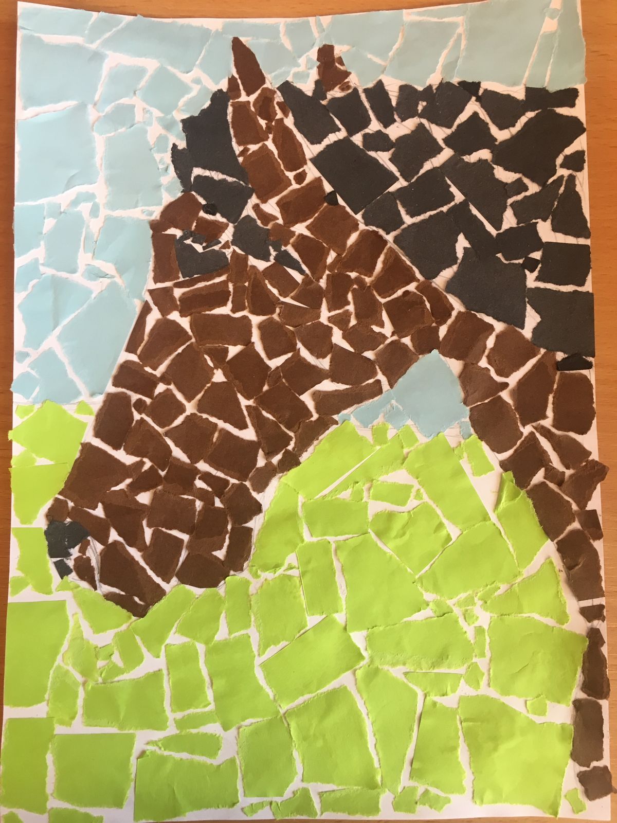 Horse Collage