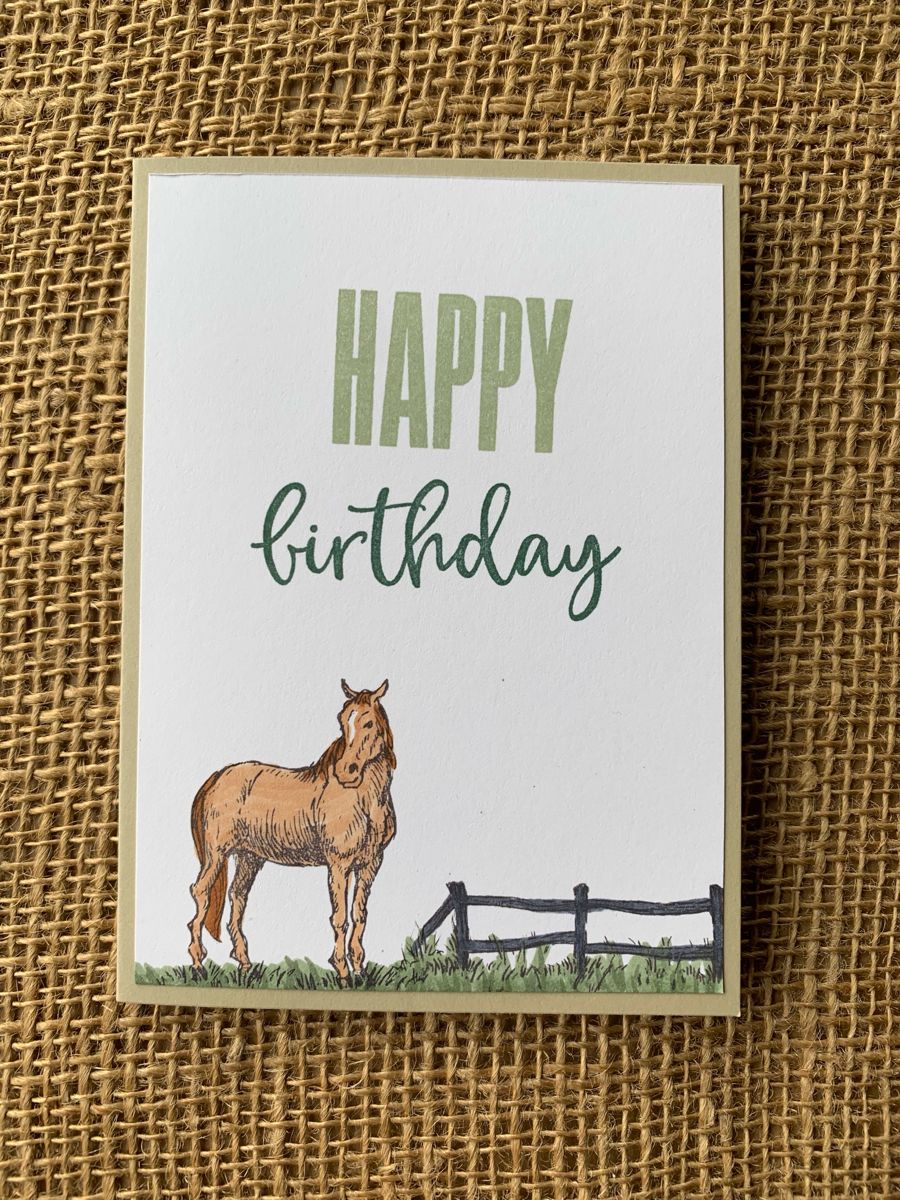 Horse Greeting Card