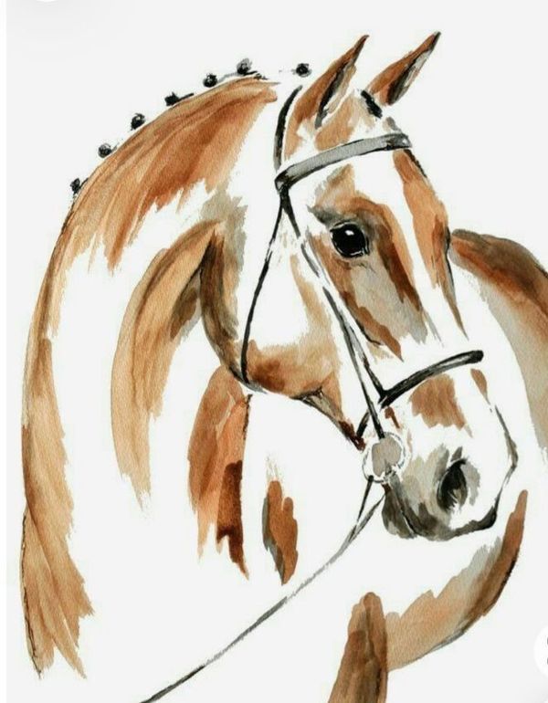 Horse Watercolour