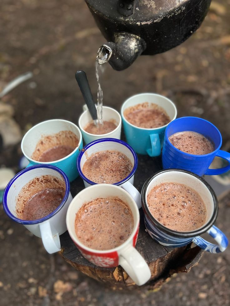 Hot Chocolate Picnic