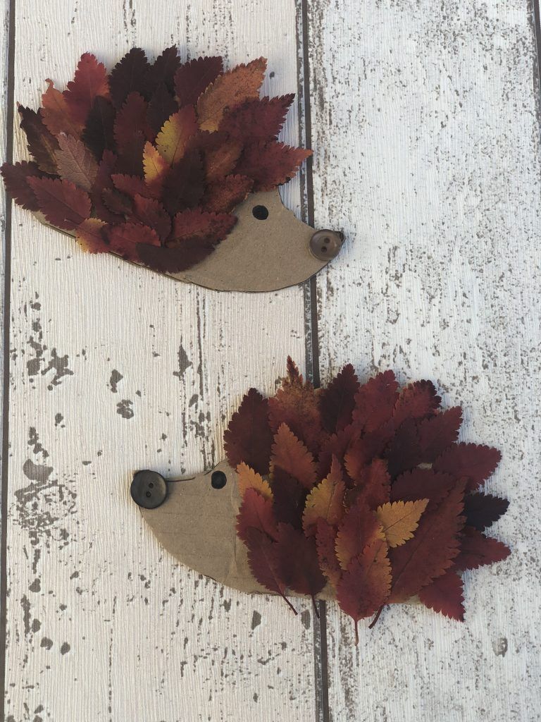 Leaf Hedgehog