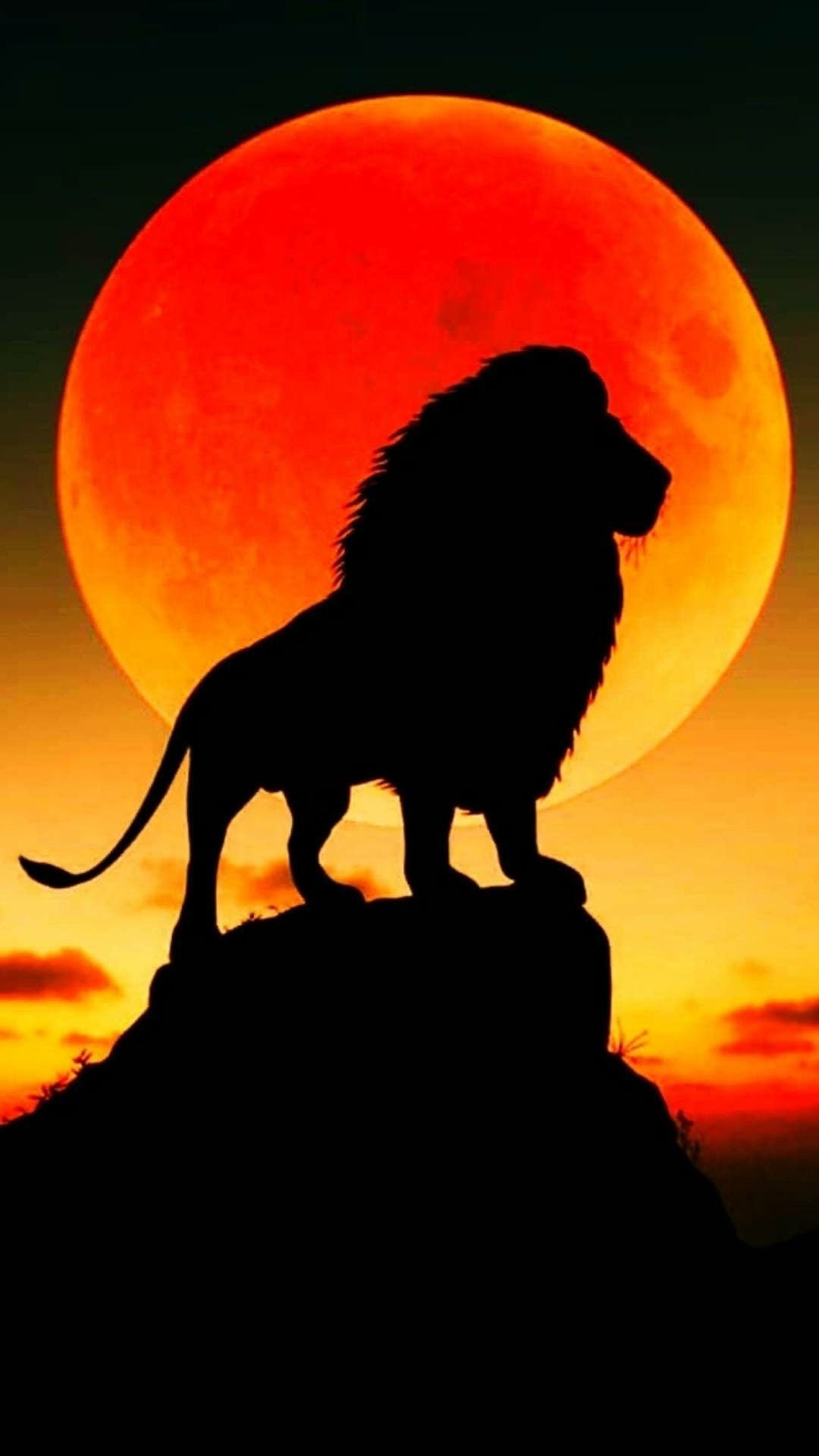 Lion Silhouette Art
