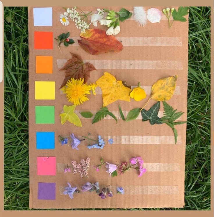 Nature Color Hunt Craft