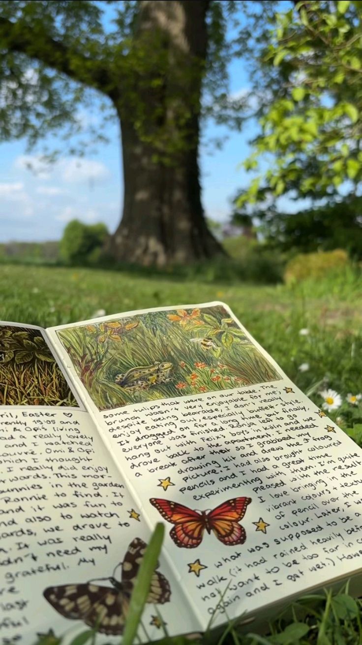 Nature Journaling by the Window