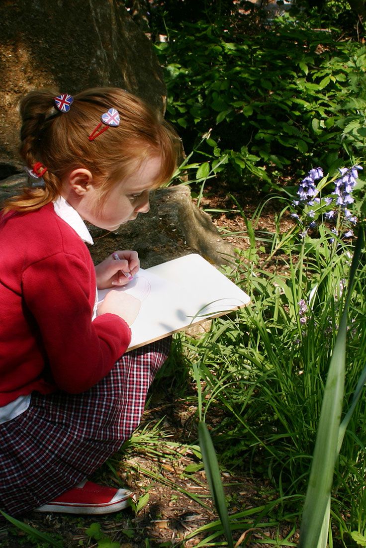 Nature Walk Science Journals