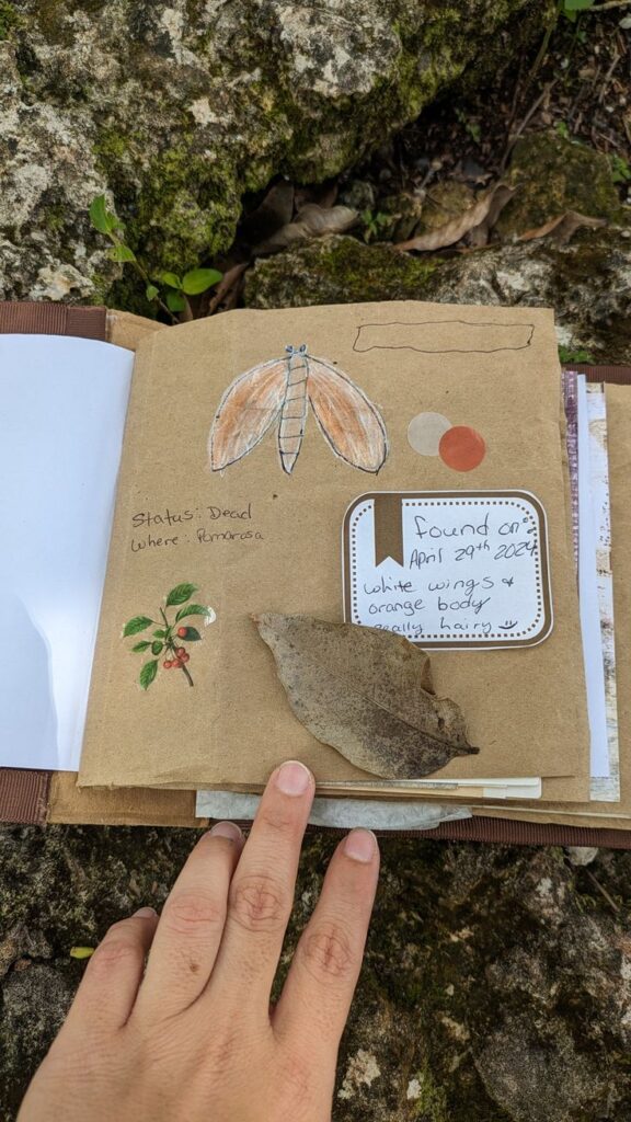  Create a Backyard Nature Journal