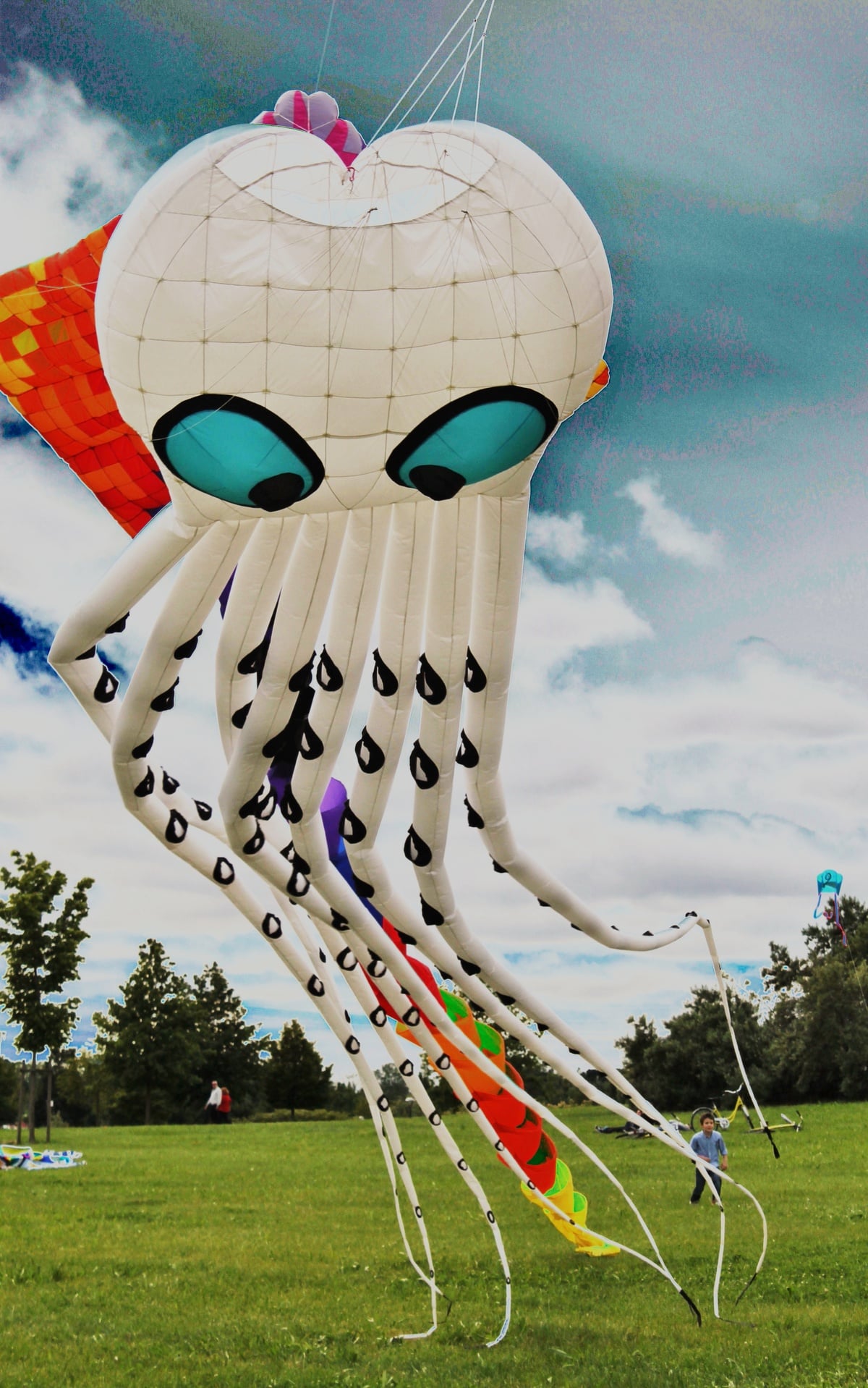 Octopus Kite