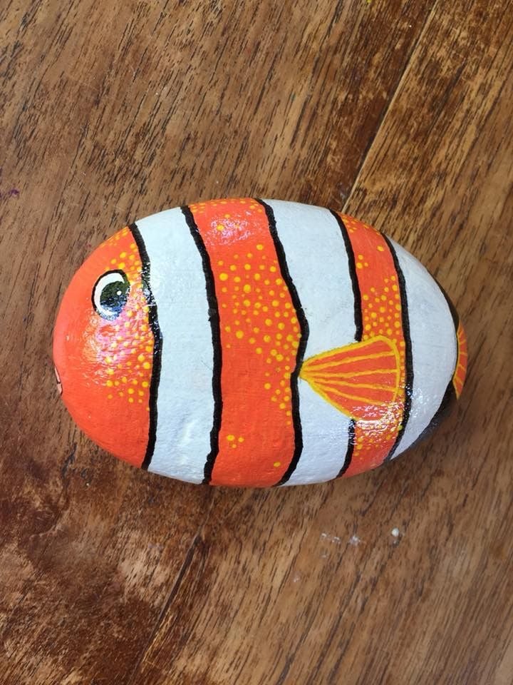 Painted Rock Fish